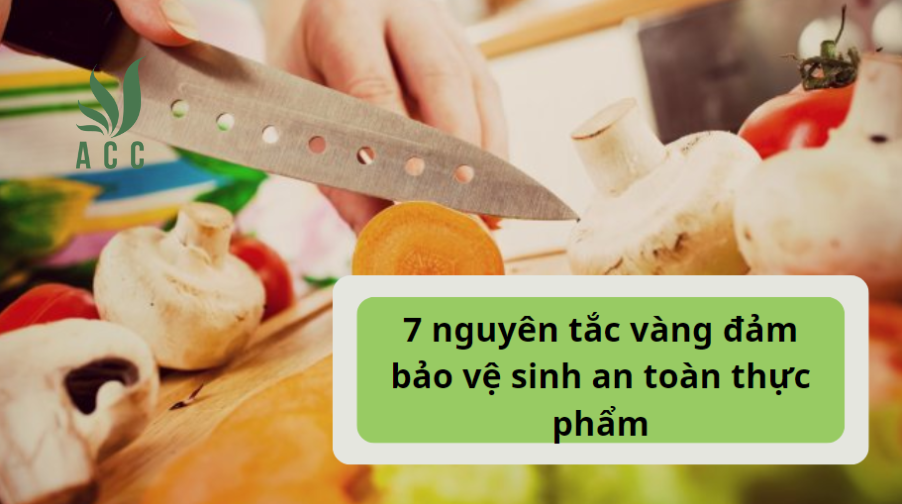 7 nguyên tắc vàng đảm bảo vệ sinh an toàn thực phẩm [2023]
