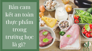 Bản cam kết an toàn thực phẩm trong trường học là gì