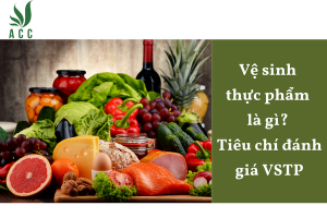 Vệ sinh thực phẩm là gì? Tiêu chí đánh giá VSTP