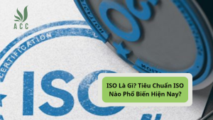 ISO Là Gì? Tiêu Chuẩn ISO Nào Phổ Biến Hiện Nay? [2023]