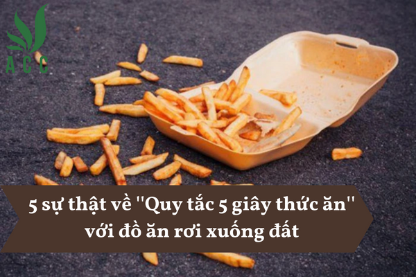 5 sự thật về ''Quy tắc 5 giây thức ăn'' với đồ ăn rơi xuống đất