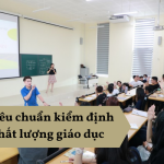 5 tiêu chuẩn kiểm định chất lượng giáo dục