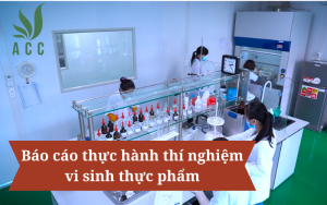 Báo cáo thực hành thí nghiệm vi sinh thực phẩm