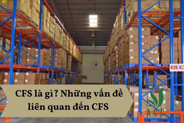 CFS là gì? Những vấn đề liên quan đến CFS