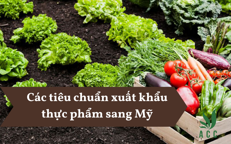 Các tiêu chuẩn xuất khẩu thực phẩm sang Mỹ