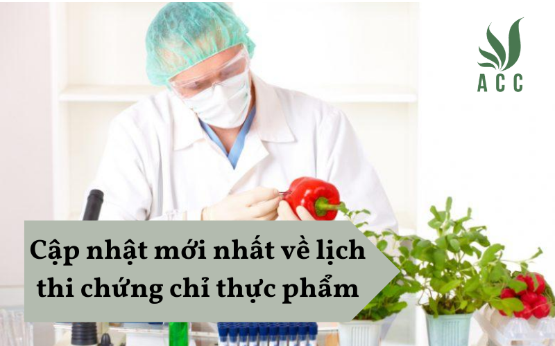 Cập nhật mới nhất về lịch thi chứng chỉ thực phẩm