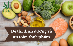 Đề thi dinh dưỡng và an toàn thực phẩm