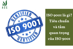 ISO 9001 là gì? Tiêu chuẩn và tầm quan trọng của ISO 9001