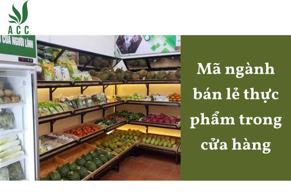 Mã ngành bán lẻ thực phẩm trong cửa hàng