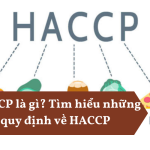 HACCP là gì? Tìm hiểu những quy định về HACCP HACCP là gì Tìm hiểu những quy định về HACCP