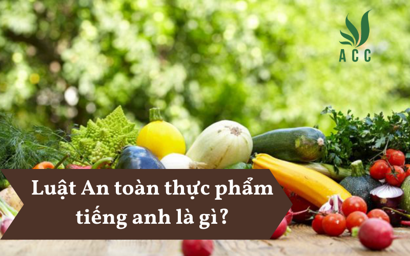 "Luật An toàn Thực phẩm là một khía cạnh quan trọng của hệ thống pháp luật quốc tế, đặc biệt là trong ngành công nghiệp thực phẩm. Nhưng vấn đề nổi lên là: 'Luật An toàn Thực phẩm trong tiếng Anh là gì?' Hãy cùng tìm hiểu về khái niệm và ý nghĩa của Luật An toàn Thực phẩm trong bối cảnh quốc tế ngày nay." Luật An toàn thực phẩm tiếng anh là gì?