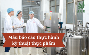 Mẫu báo cáo thực hành kỹ thuật thực phẩm