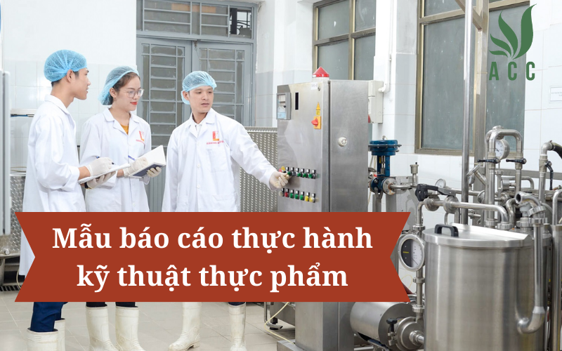 Mẫu báo cáo thực hành kỹ thuật thực phẩm