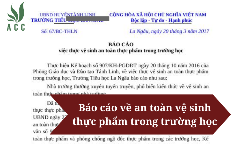 Mẫu báo cáo về an toàn vệ sinh thực phẩm trong trường học