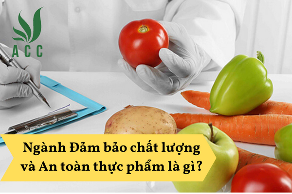 Ngành Đảm bảo chất lượng và An toàn thực phẩm là gì