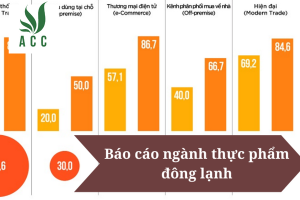 Báo cáo ngành thực phẩm đông lạnh