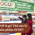 OCOP là gì? Thế nào là sản phẩm OCOP? OCOP là gì Thế nào là sản phẩm OCOP