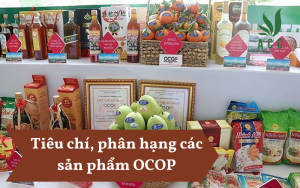 Tiêu chí, phân hạng các sản phẩm OCOP