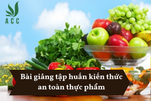 Bài giảng tập huấn kiến thức an toàn thực phẩm