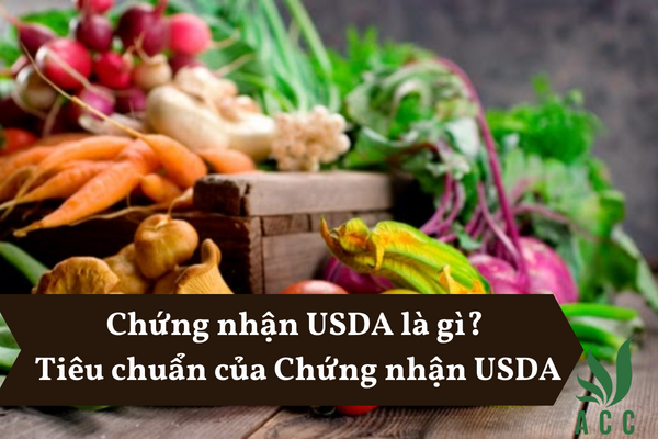 Chứng nhận USDA là gì Tiêu chuẩn của Chứng nhận USDA