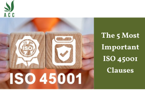 The 5 Most Important ISO 45001 Clauses