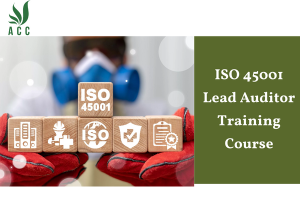 ISO 45001 Lead Auditor Training Course