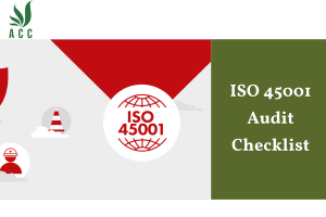ISO 45001 Audit Checklist