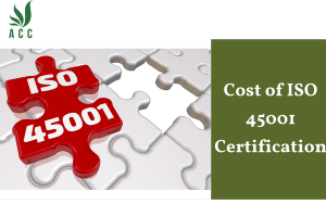 Cost of ISO 45001 Certification