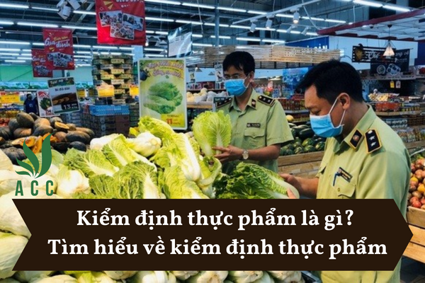 Kiểm định thực phẩm là gì Tìm hiểu về kiểm định thực phẩm