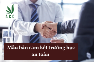 Mẫu bản cam kết trường học an toàn