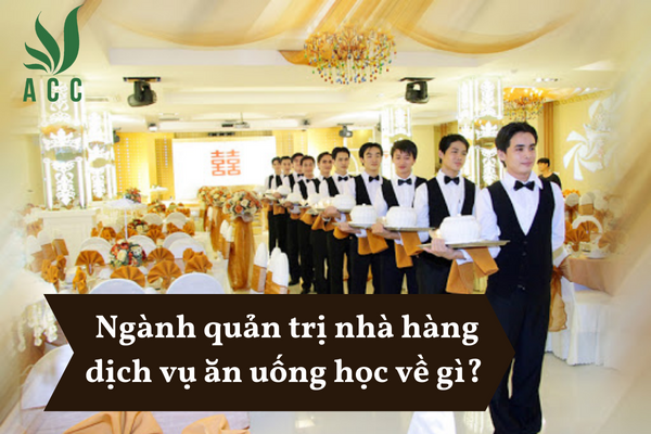 Ngành quản trị nhà hàng dịch vụ ăn uống học về gì