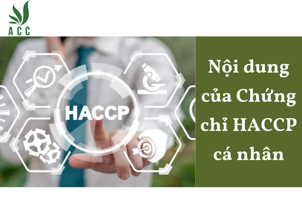 Nội dung của Chứng chỉ HACCP cá nhân