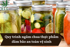 Quy trình ngâm chua thực phẩm đảm bảo an toàn vệ sinh