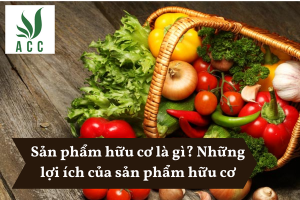 Sản phẩm hữu cơ là gì Những lợi ích của sản phẩm hữu cơ