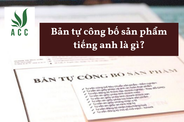 7. Kết Luận và Đề Xuất