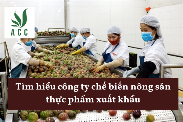 Tìm hiểu công ty chế biến nông sản thực phẩm xuất khẩu