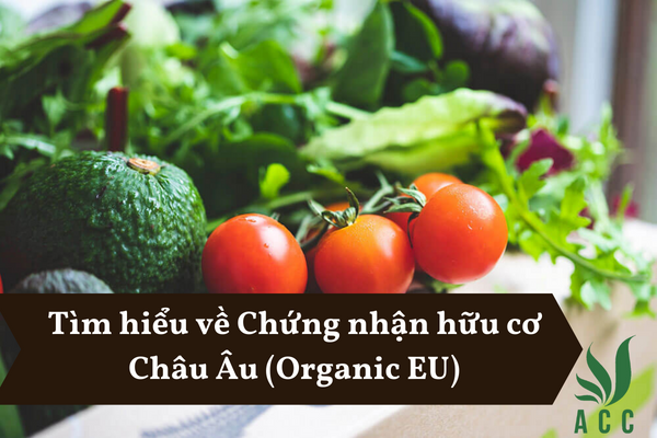 Tìm hiểu về Chứng nhận hữu cơ Châu Âu (Organic EU)