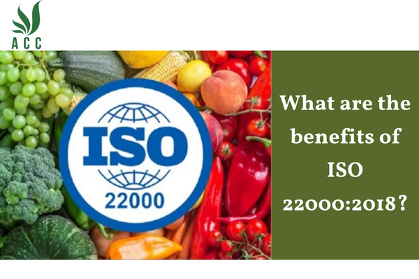 What are the benefits of ISO 22000:2018?