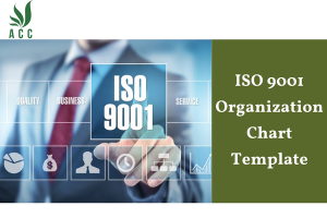 ISO 9001 Organization Chart Template