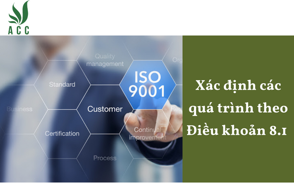 Xác định các quá trình theo Điều khoản 8.1